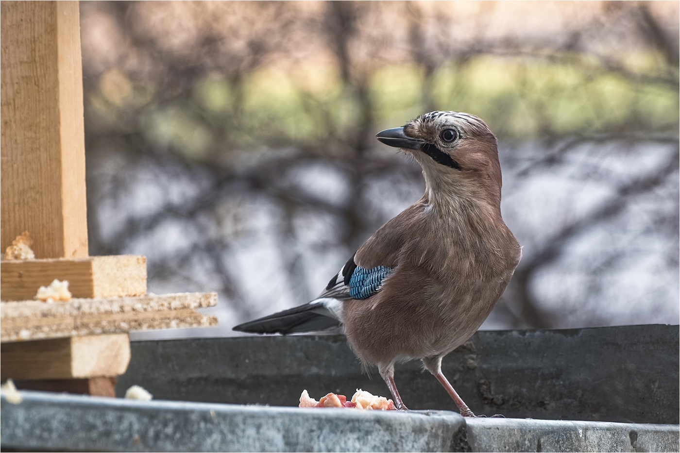 Porträt einer unbekannten Frau