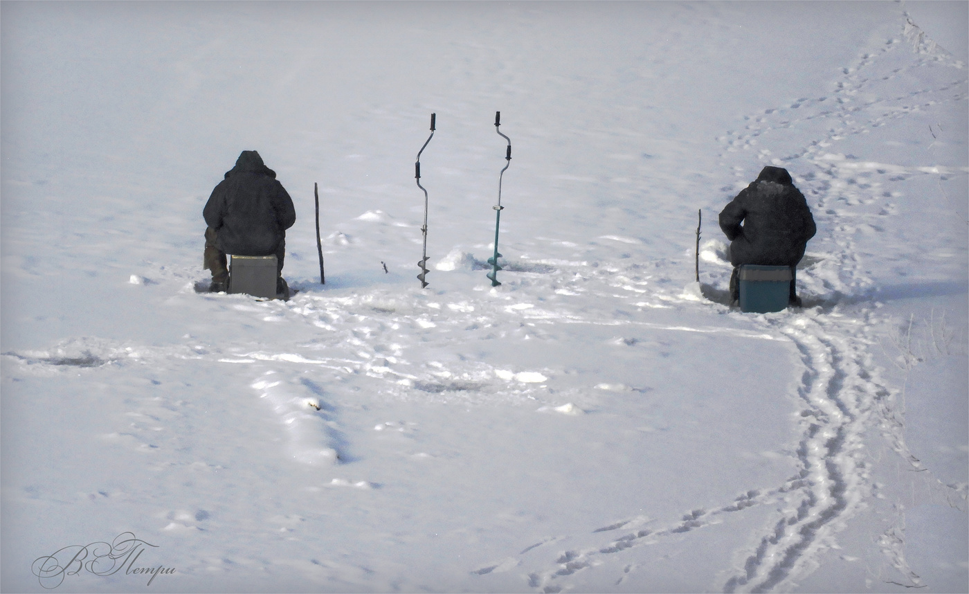 Jagd Wald Gefangenschaft