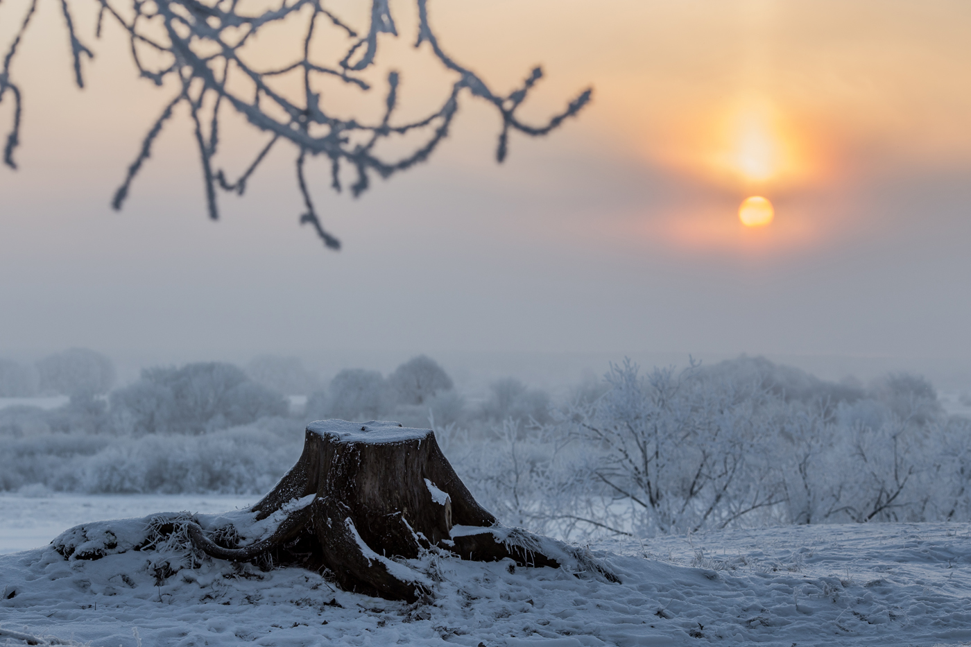 Die Begegnung Januar Morgengrauen