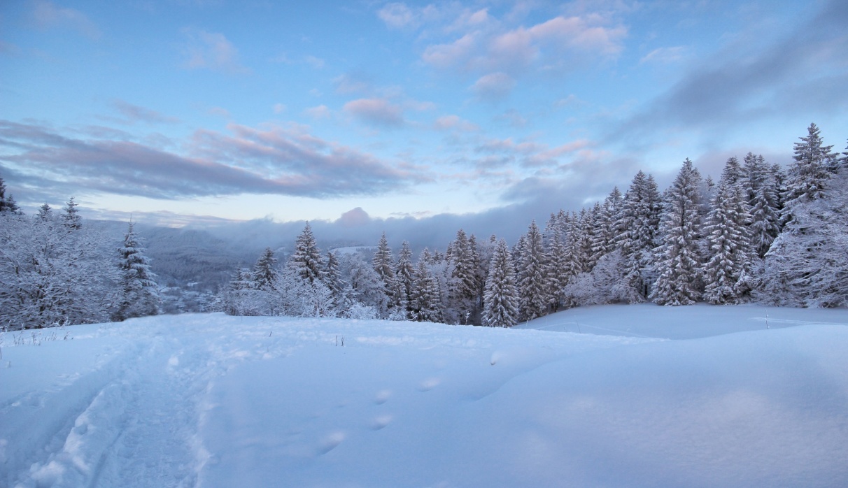 Reflexionen eines Sonnenuntergangs