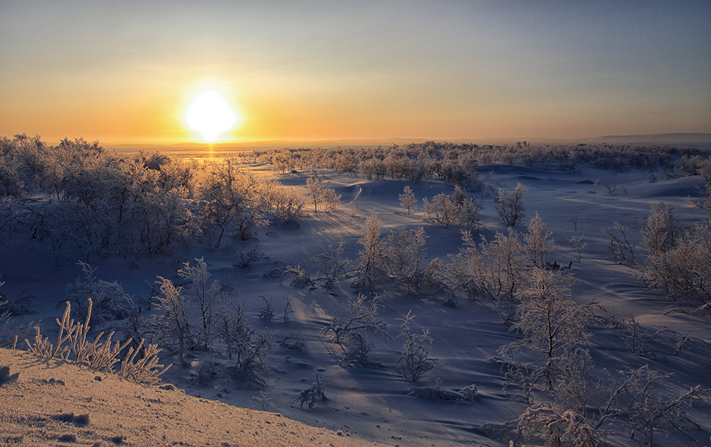 Ein frostiger Morgen