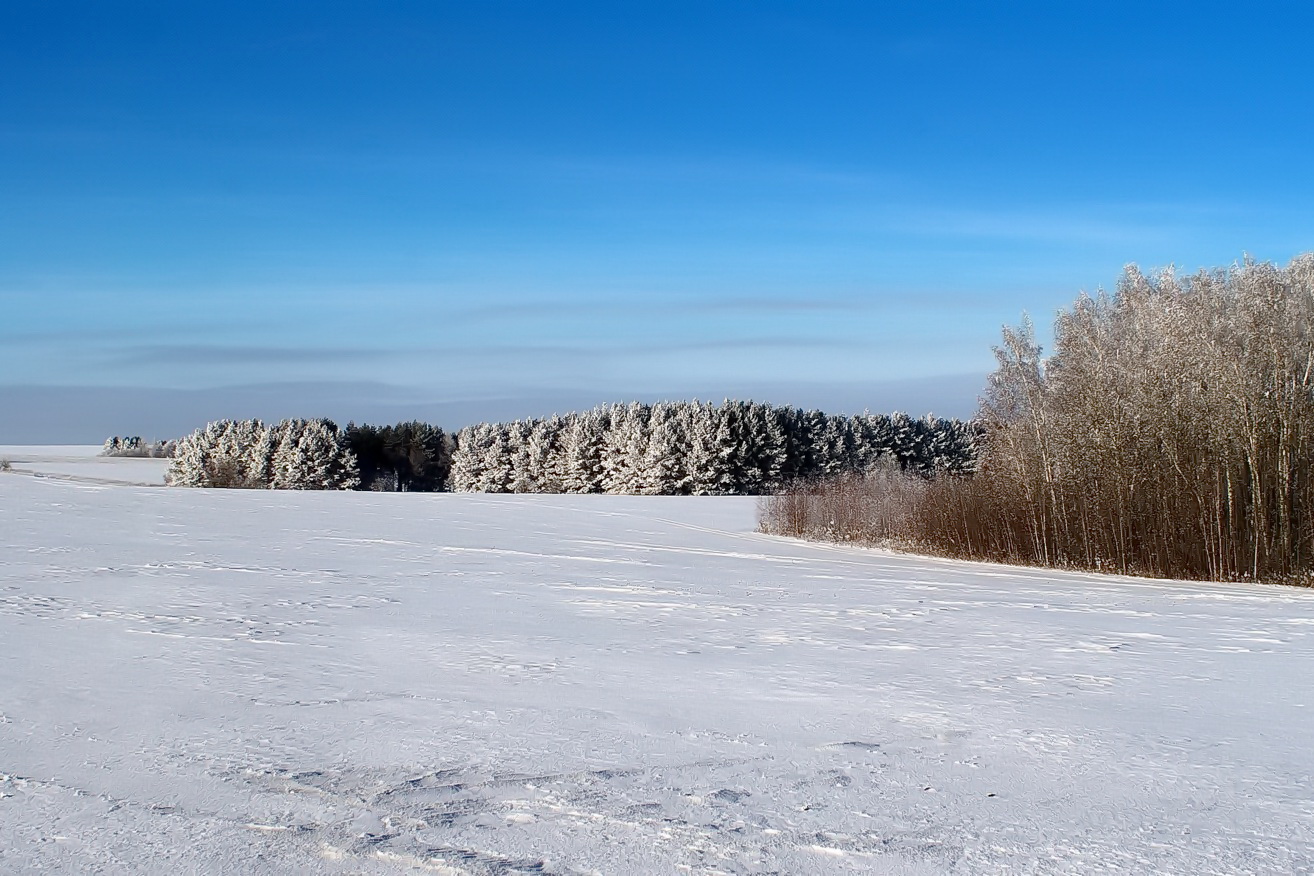 Winterlandschaft
