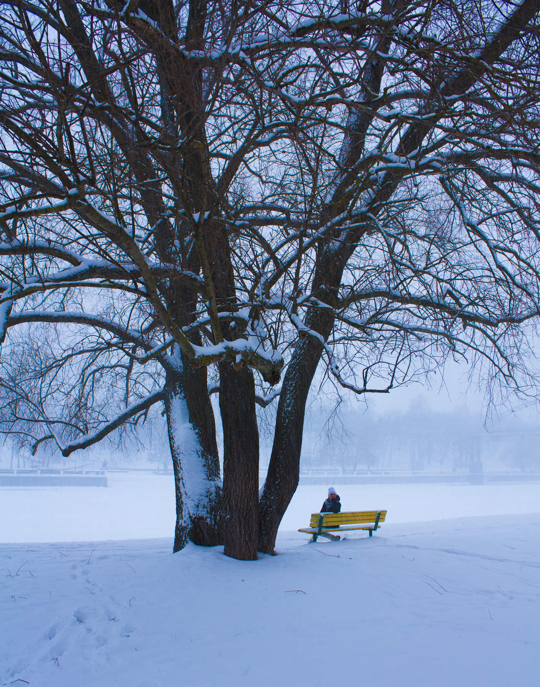 In Erwartung der Sitzung