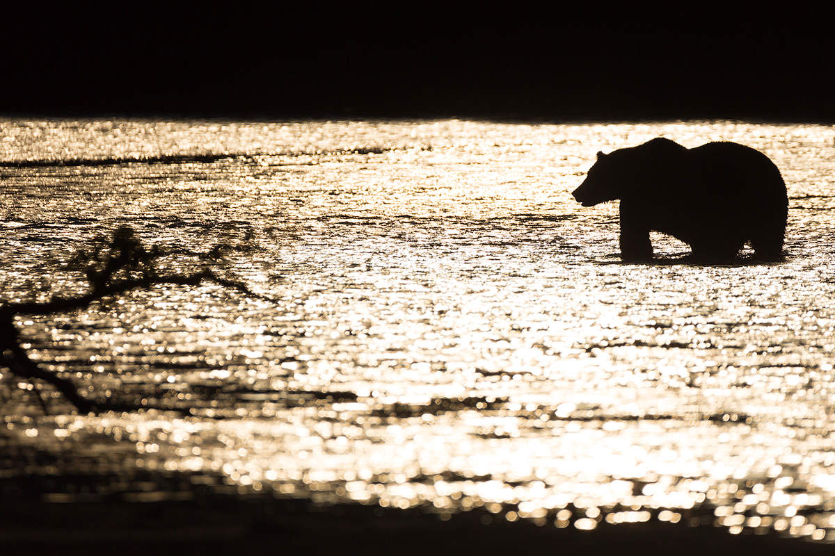 Angeln bei Sonnenuntergang