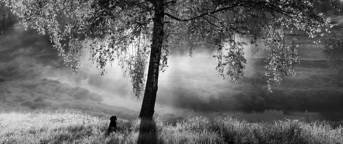 There is no Naomi in view