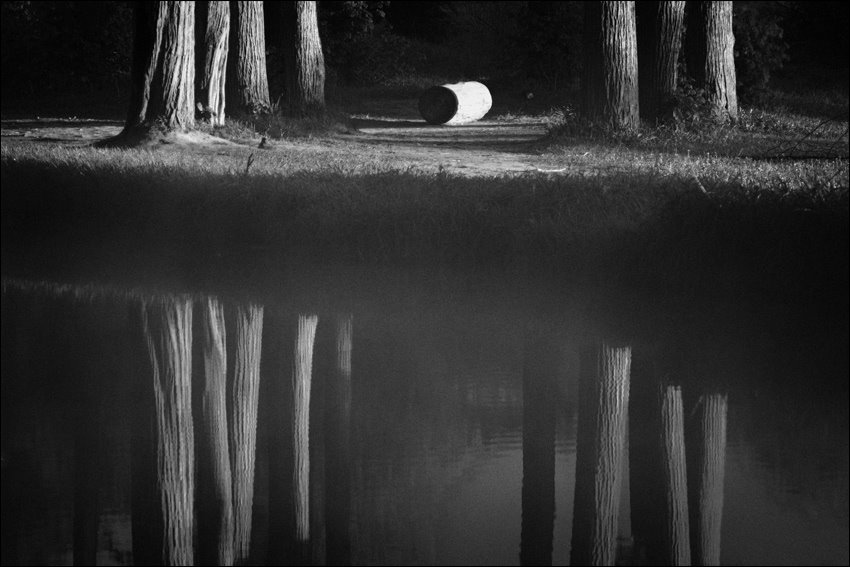 She walks through Cambridge stocks and strolls