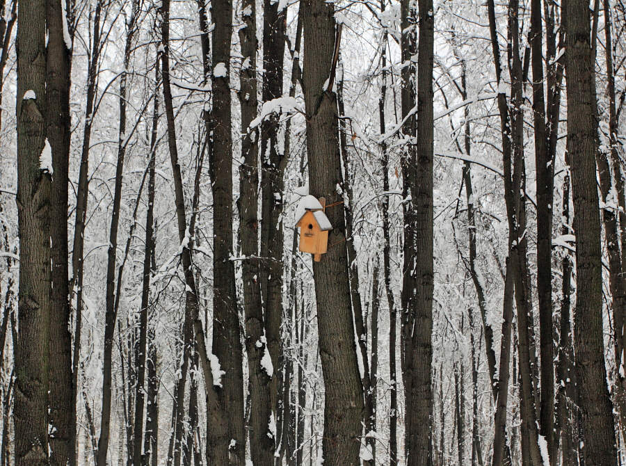 Warten auf den Frühling