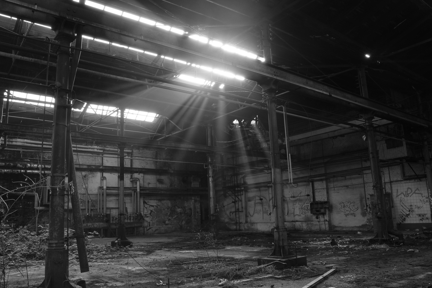 Lichtspiel in Schwarz-Weiß