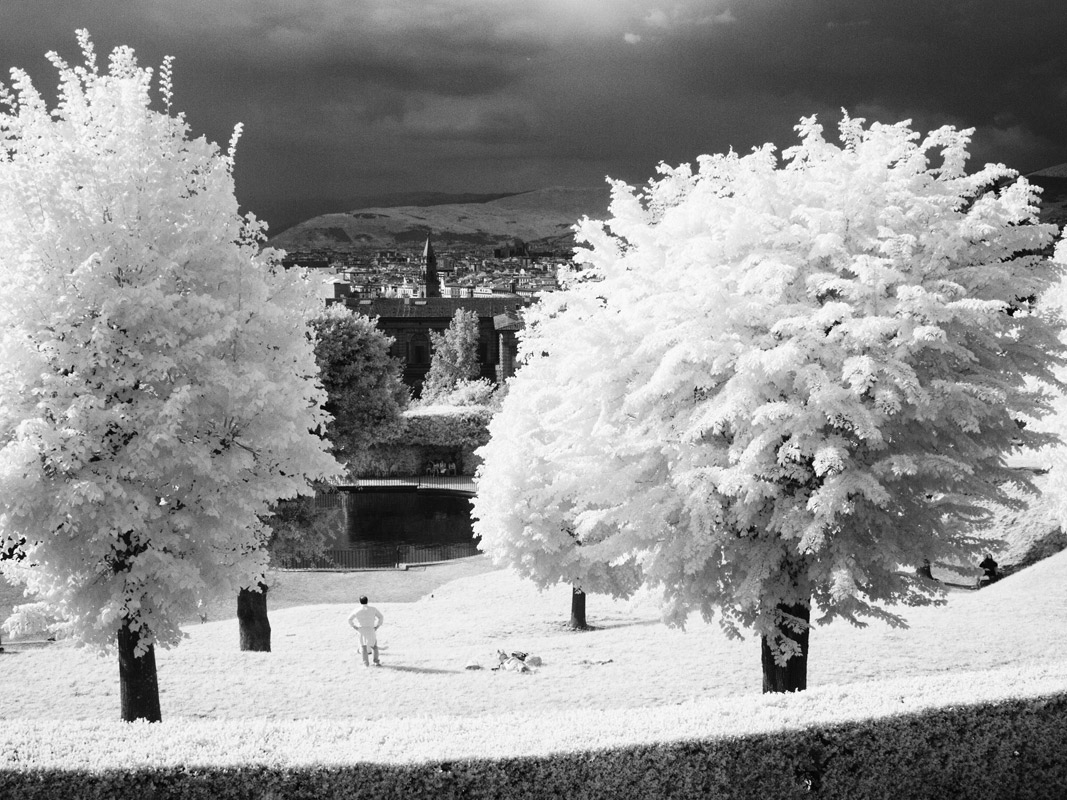 When? said the moon to the stars in the sky