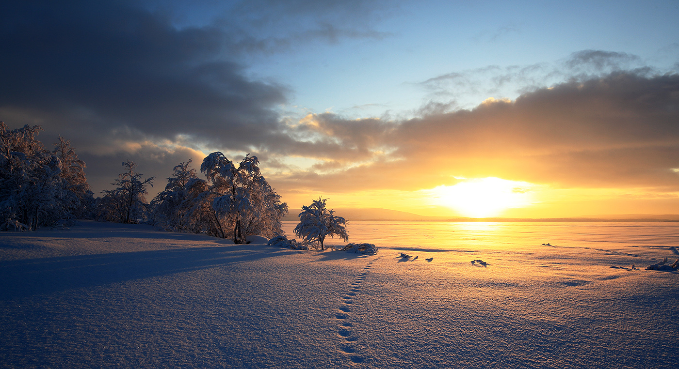 der Sonne nachgeführt