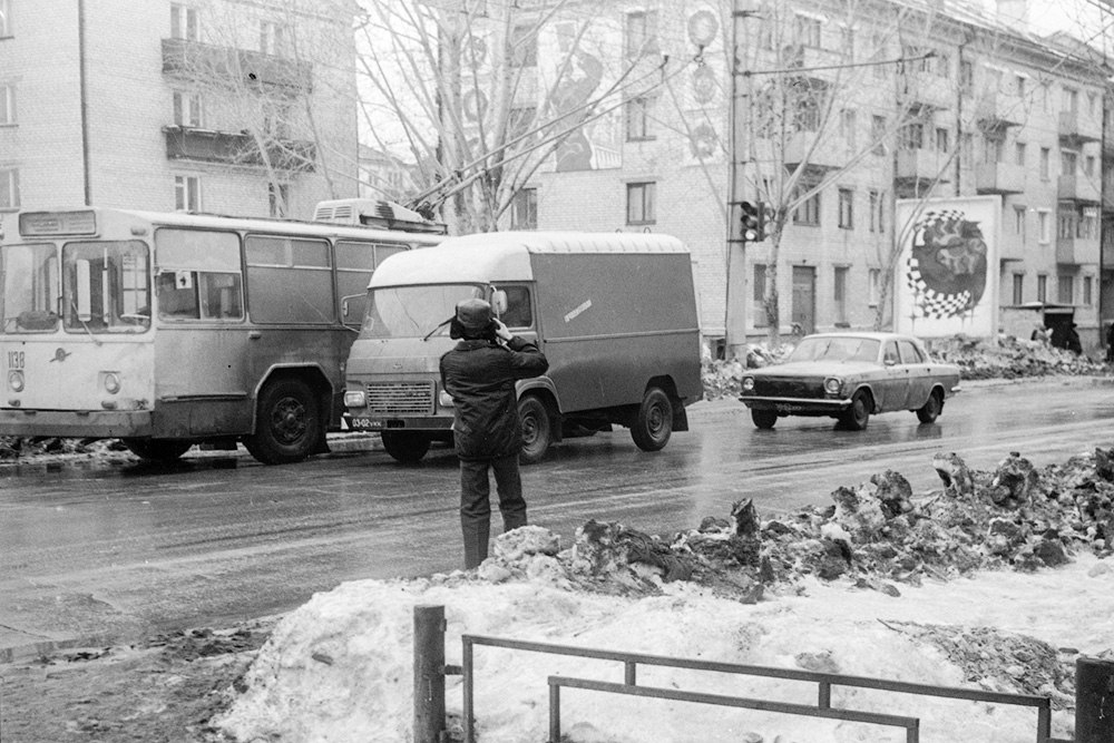 Wenn die Bäume groß
