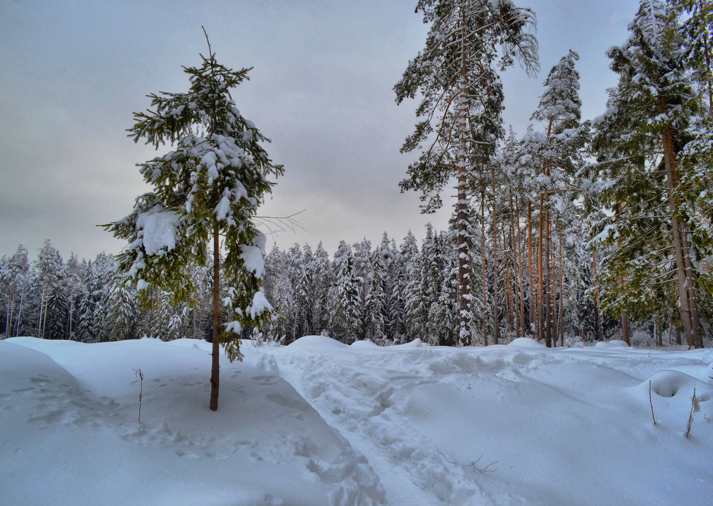 Sonnenuntergang im Winter
