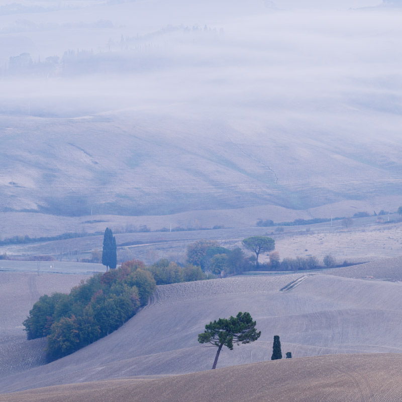 Hesitating once more