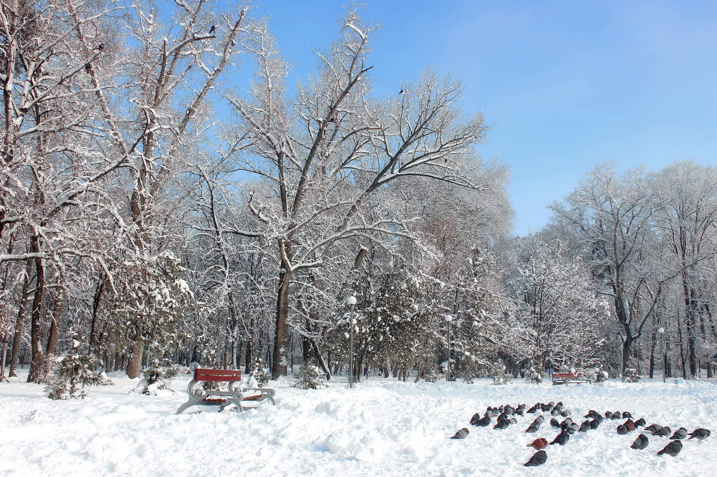 "Frost und die Sonne ..."