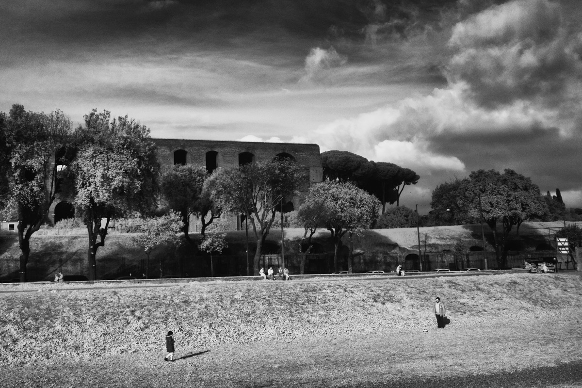 The dogs dissolve and drain away