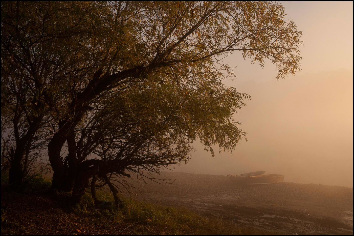 Nebliger Morgen