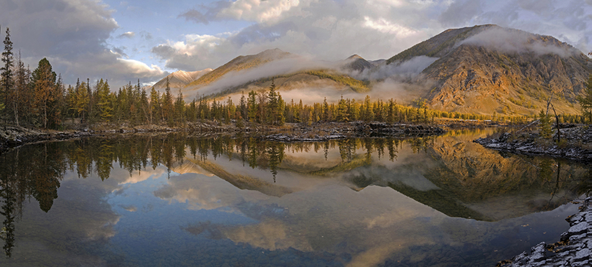 Nebel in der Morgendämmerung.