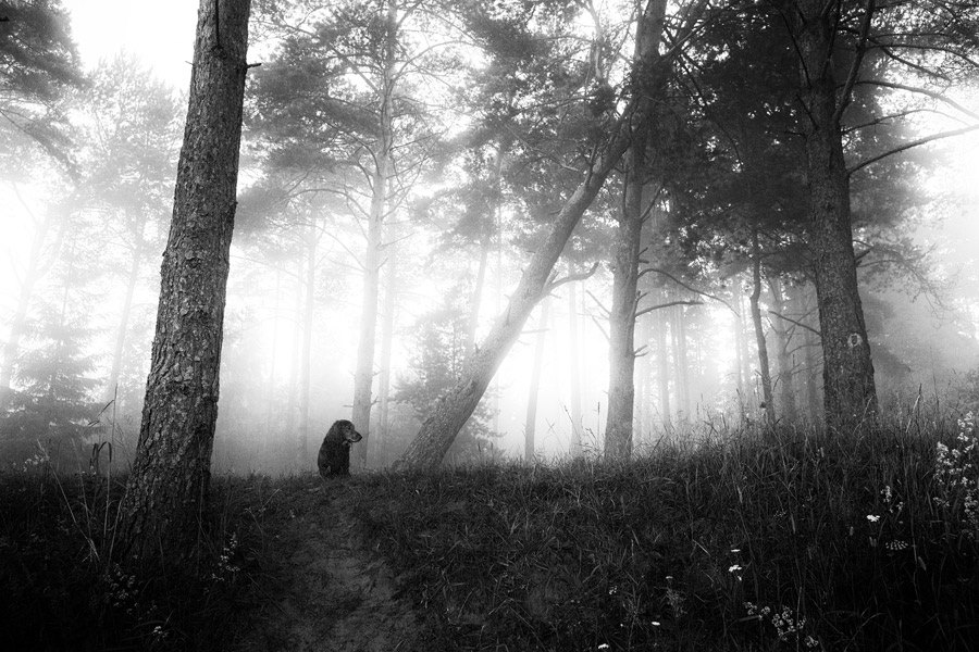 And I guess that I just don't know