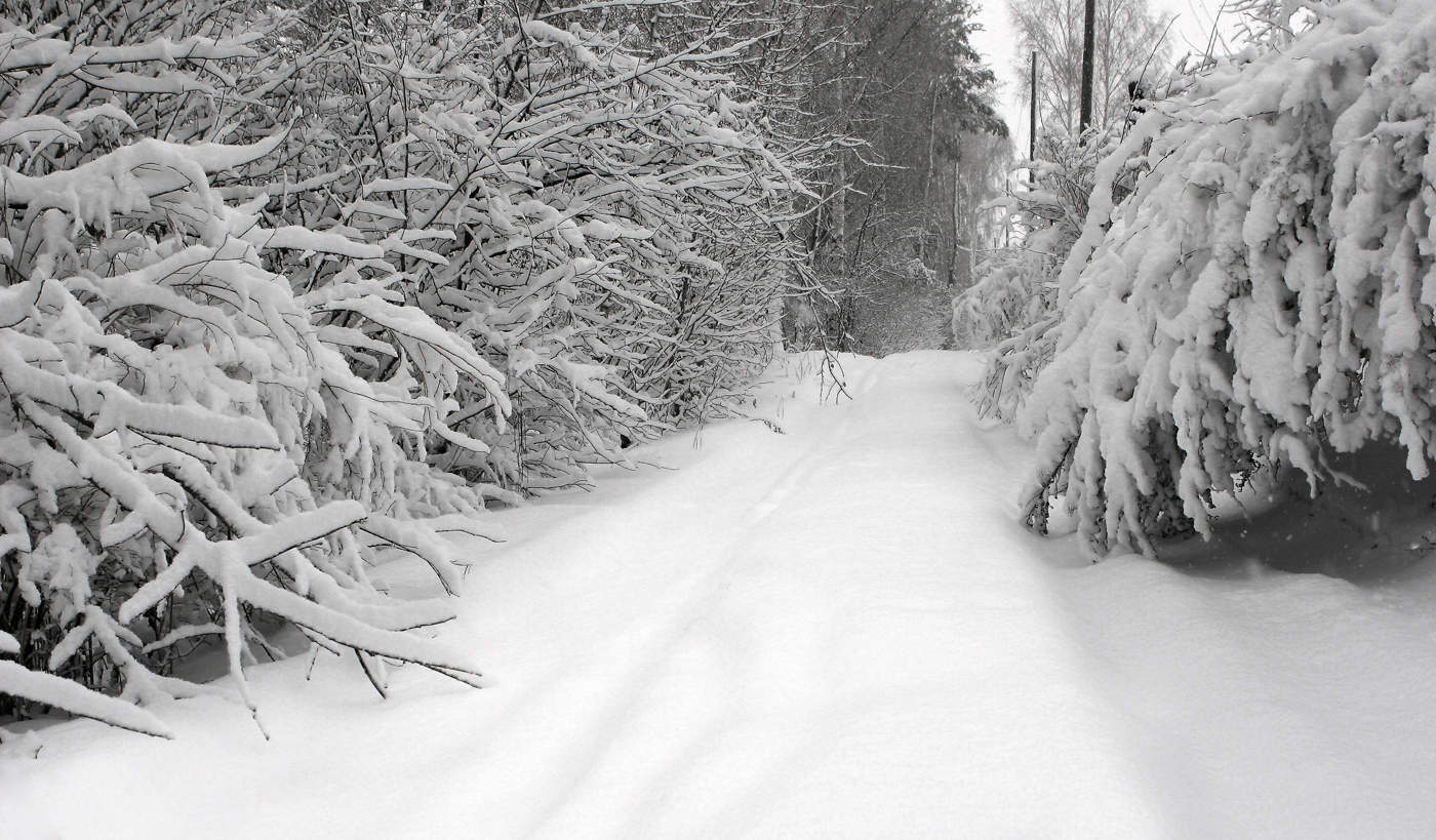 mit Schnee bedeckt ...