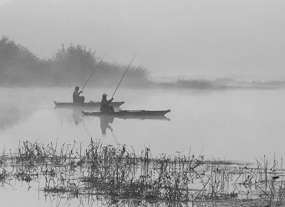 Gleichzeitige Besetzung.