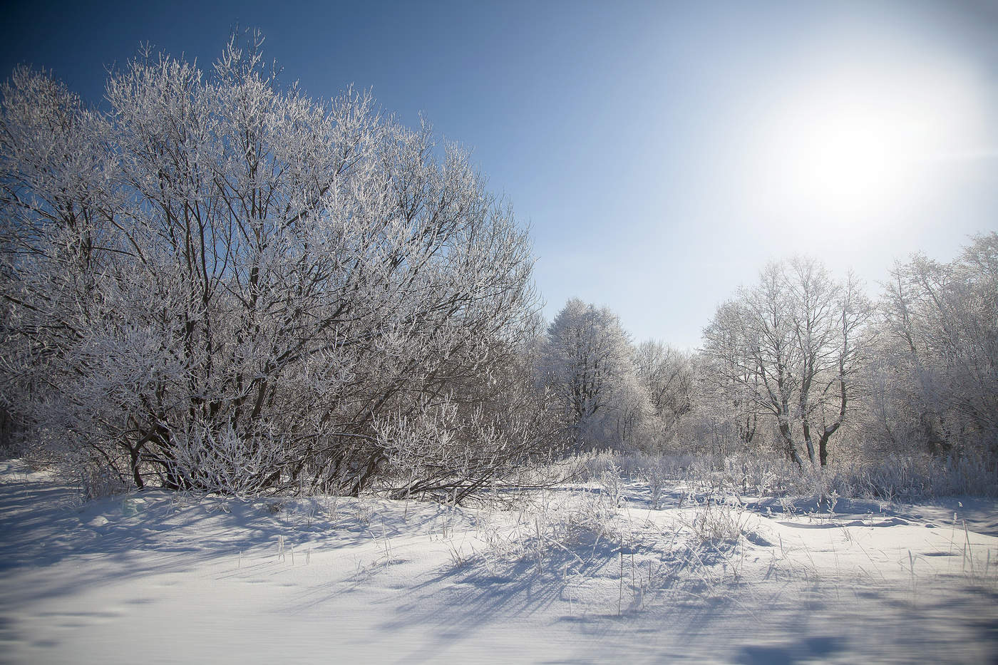Premonition des Frühlings