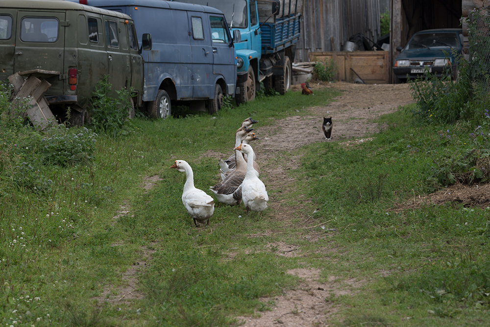 Ländliche Landschaft