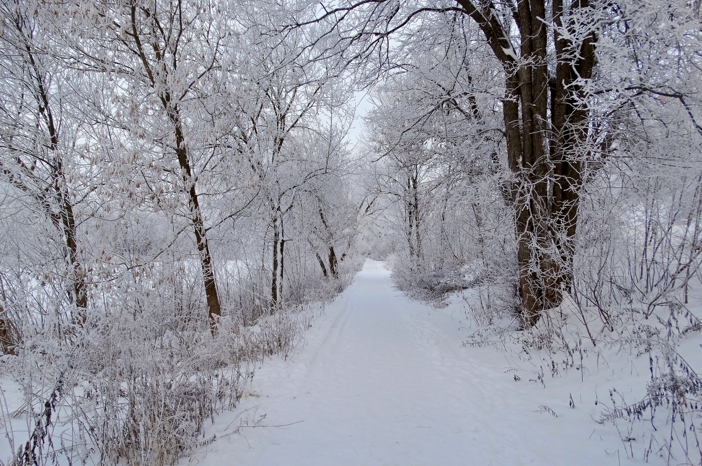 Winter alley