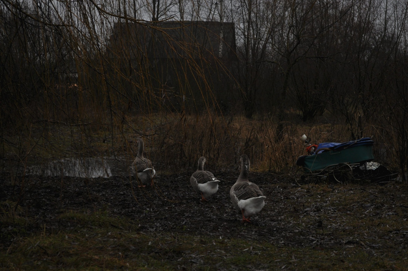 Wir lebten an der Oma ...