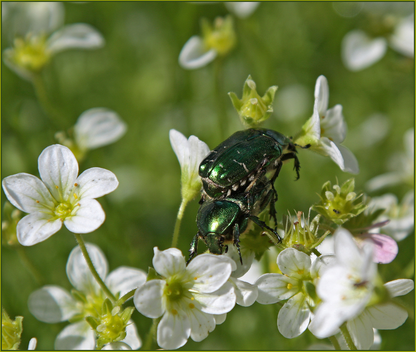 Nachdem im Frühjahr