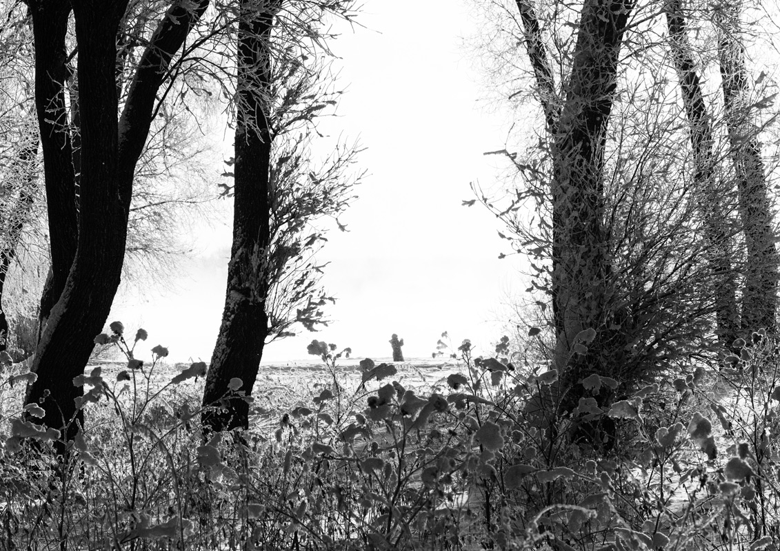 The silks, skin spun, repelled the Sun