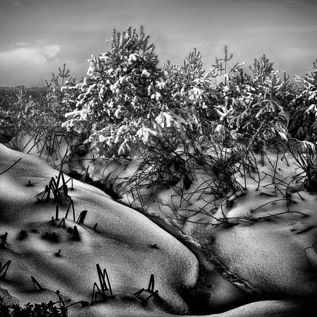 Nach einem Schneesturm