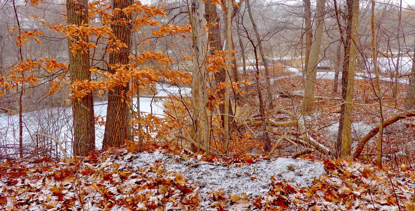 the world of red and white