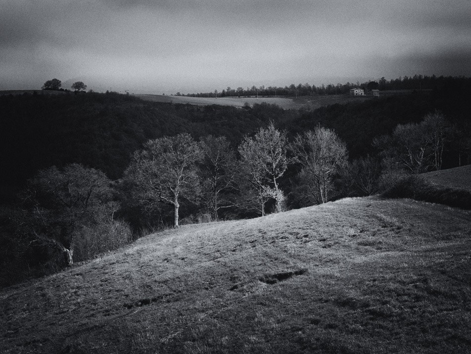 By the mountain streams where the moorcocks crow