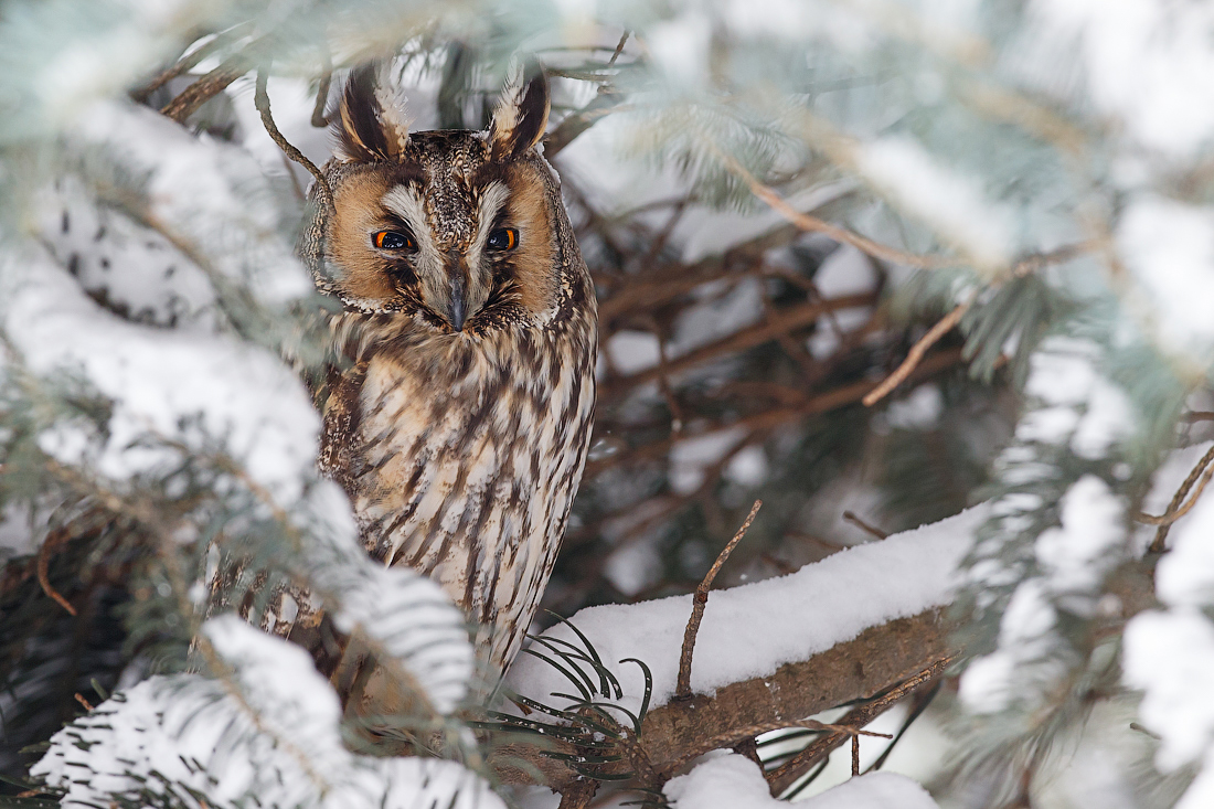 Warten auf Frühling