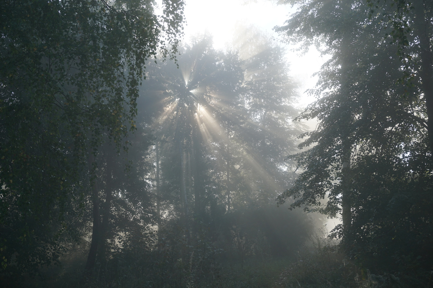 Morgen ein neuer Tag.