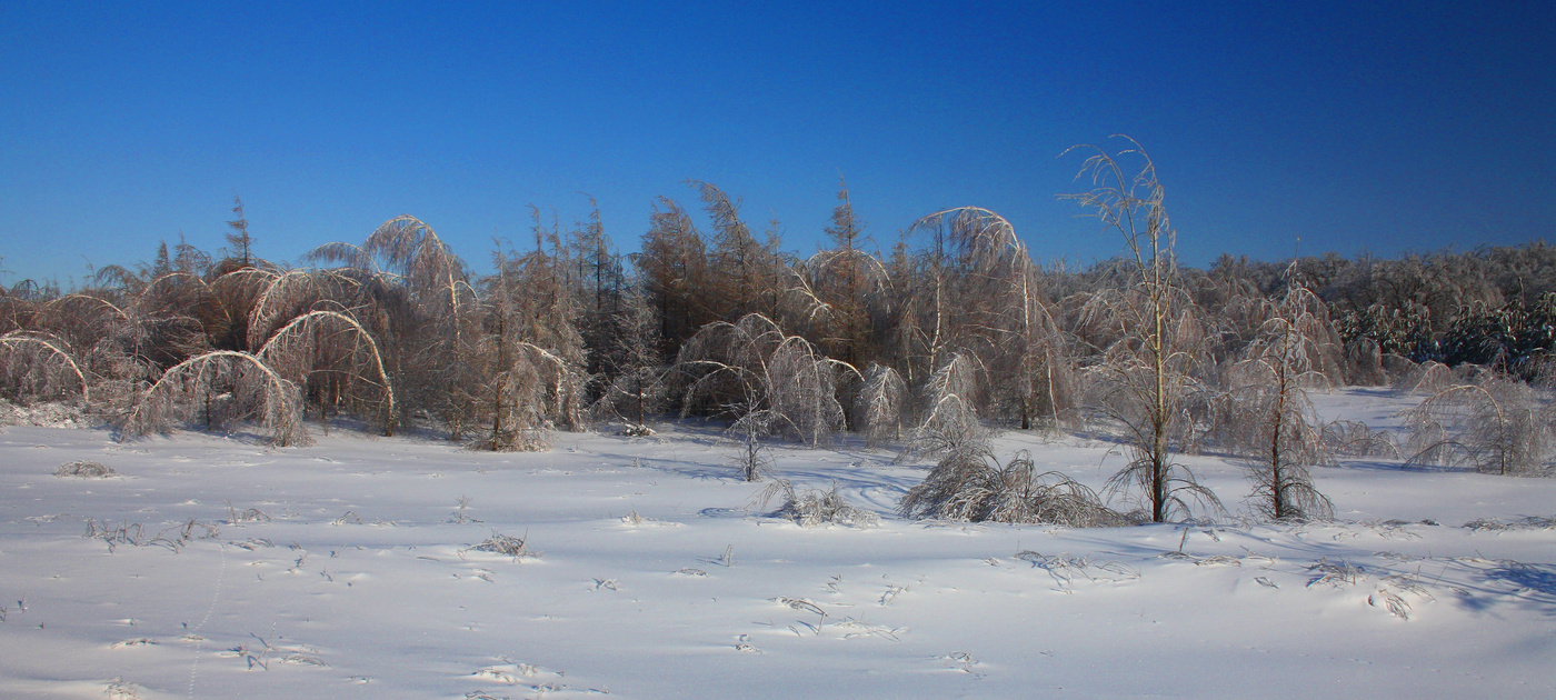 Winter ist eine solche