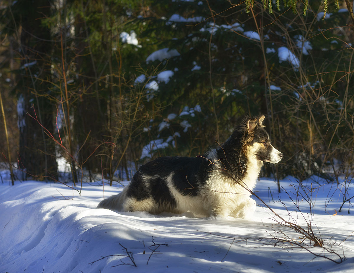Warten auf die Wärme