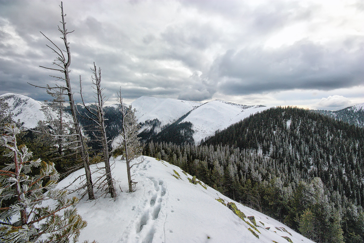 in den Himmel kommen