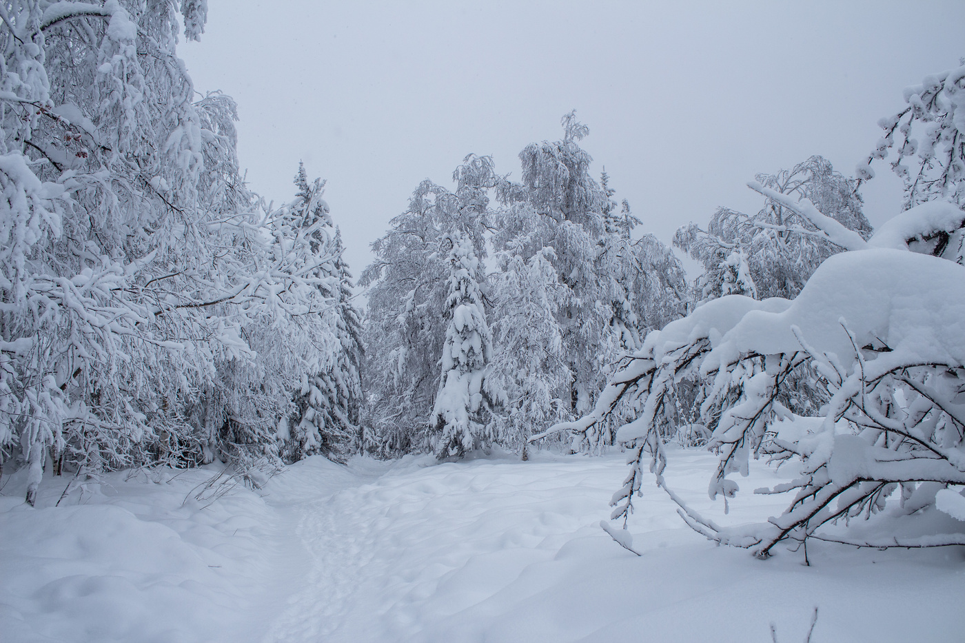 Besitz der Schneekönigin