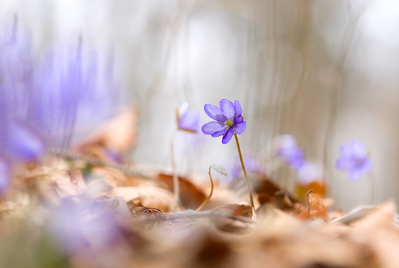 noch eins von gestern