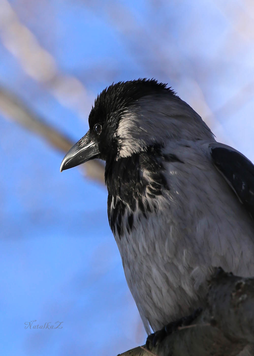 Warten auf den Frühling
