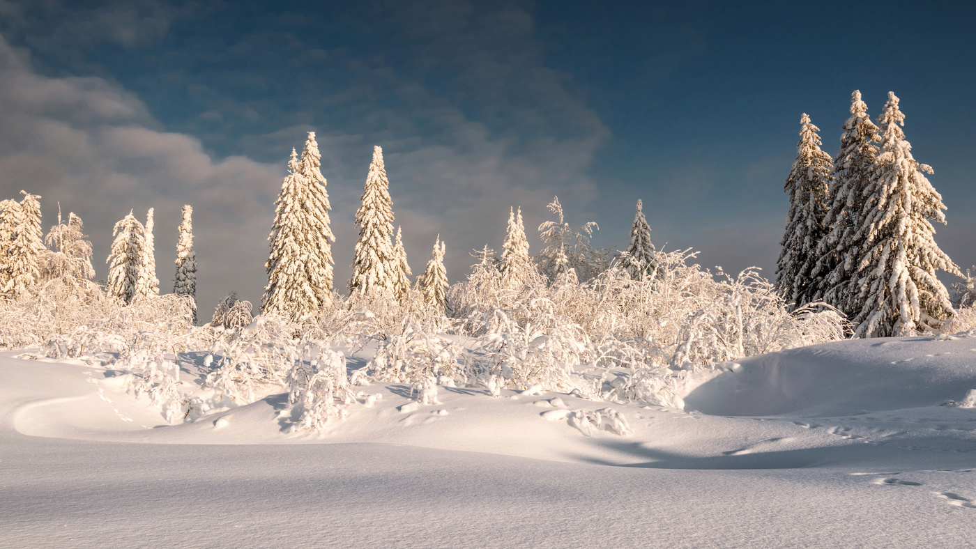 Sonnenuntergang im Winter