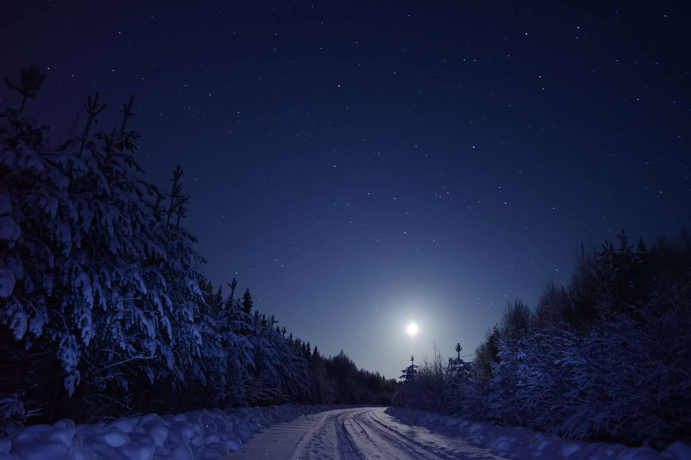 Moonlit Road