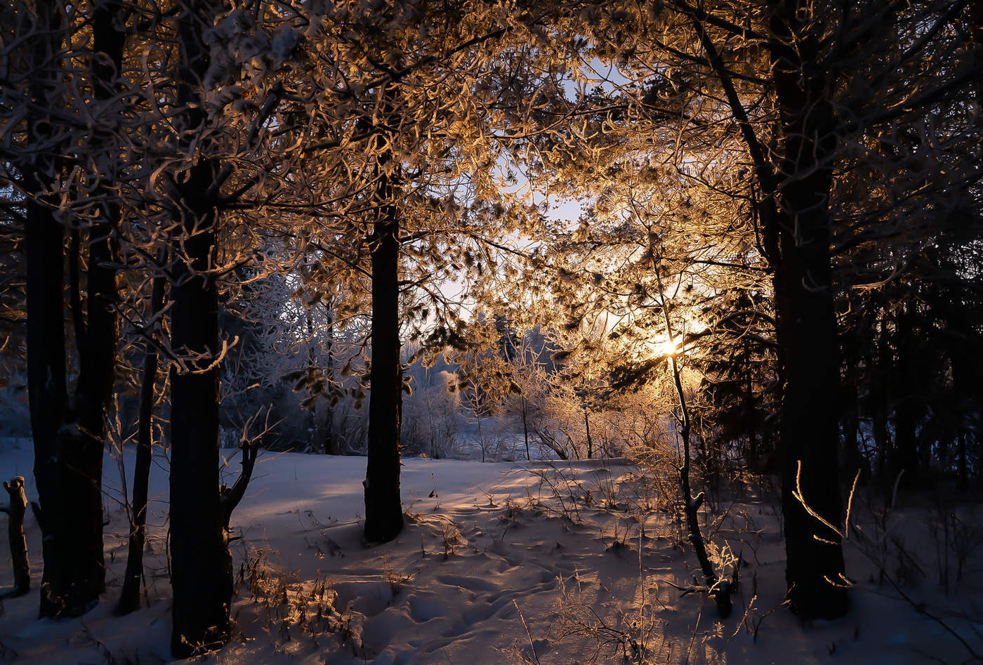 Sonnenaufgang über dem Fluss