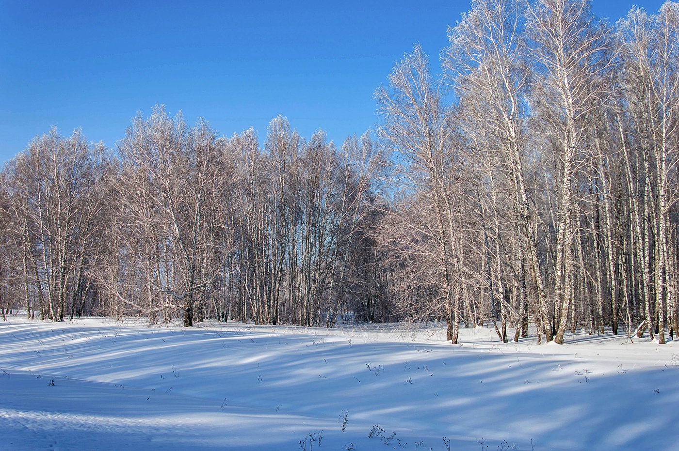 Schatten auf dem Schnee