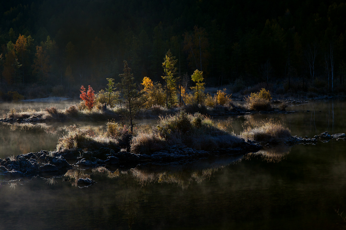 Herbst Morgendämmerung
