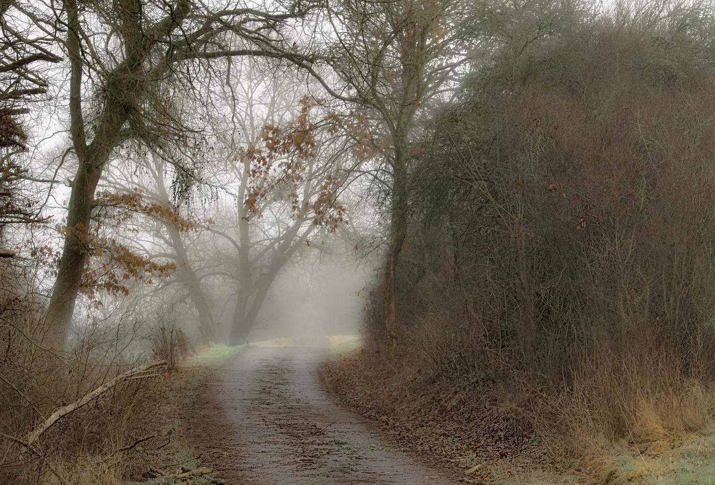 Straße im Nebel