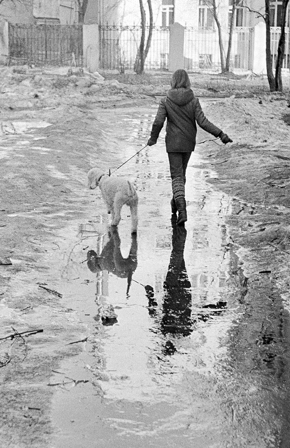 Frühlingsspaziergang