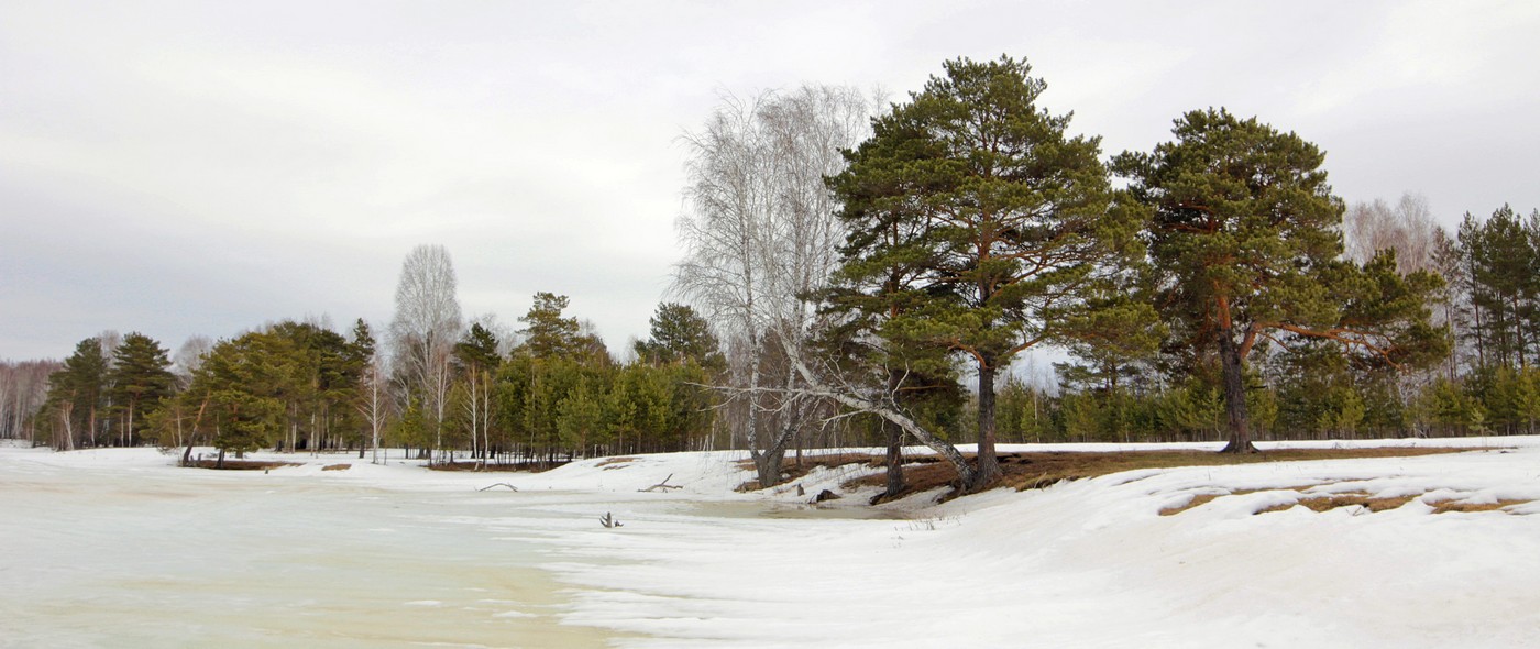 Überwiegend bewölkt