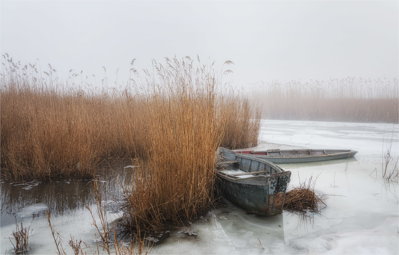 Warten auf den Frühling
